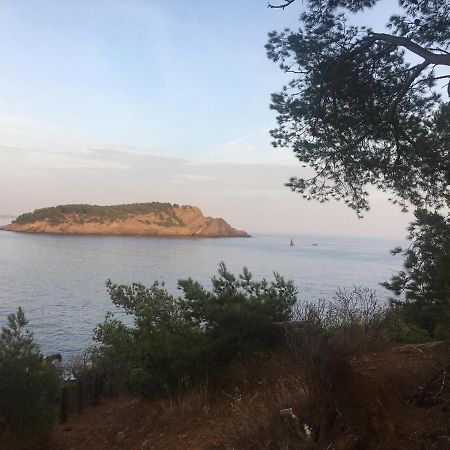 Fanny Wifi Climatise Tout A Pieds 4 Personnes La Ciotat Dış mekan fotoğraf